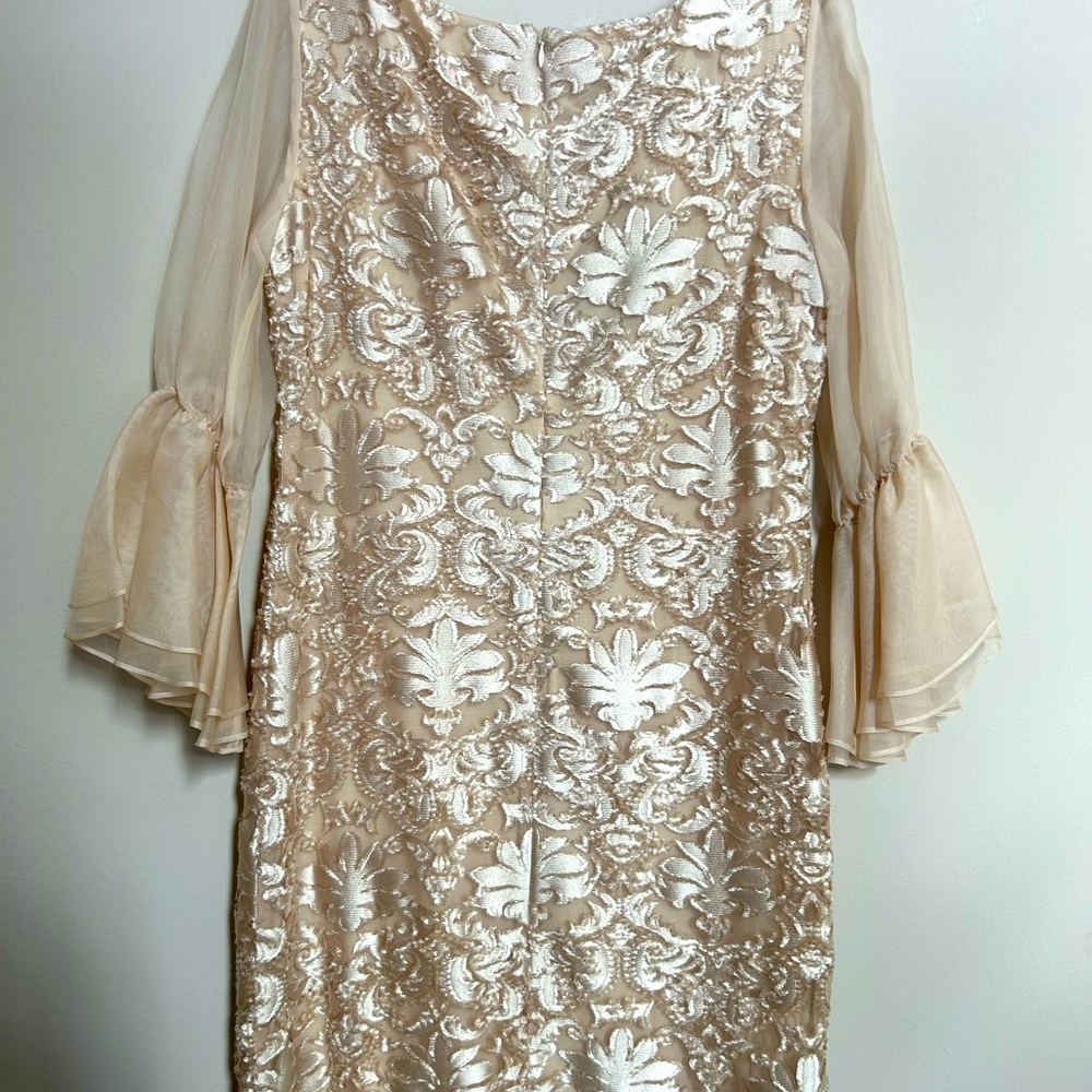 Gorgeous textured dress by Sara Campbell in size 10. Flounce sheer sleeves. NWT - Picture 6 of 6